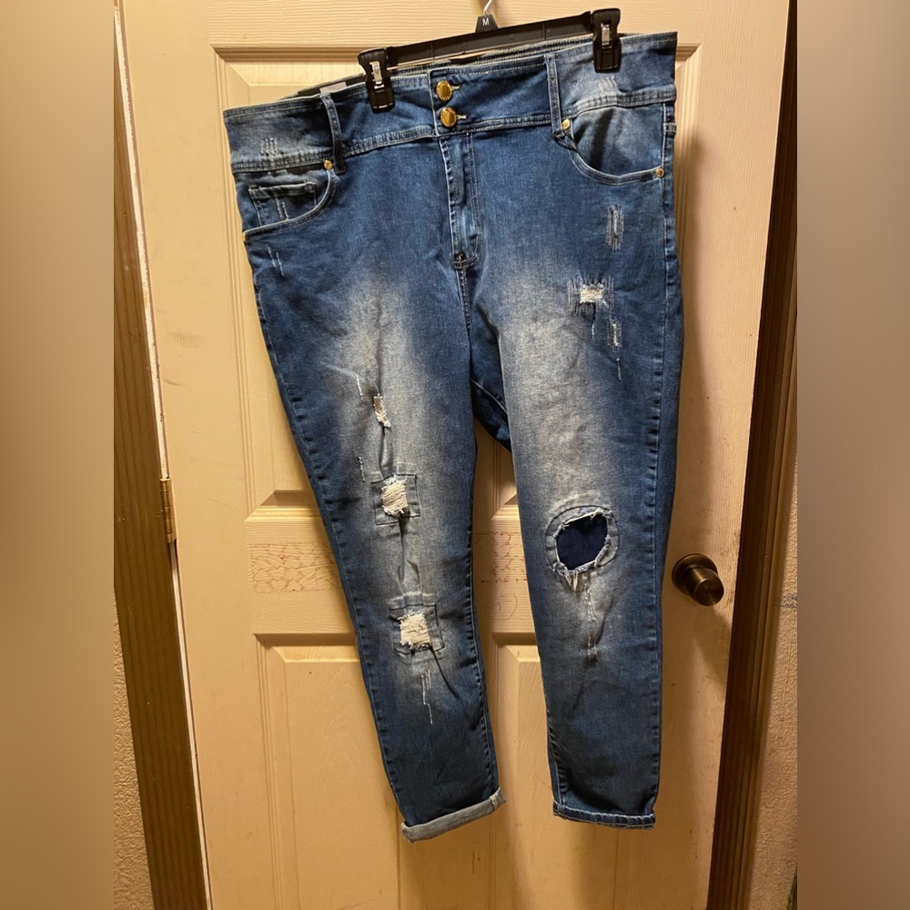 Chic Denim Asha High Rise Skinny Jeans